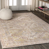 Darija Ornate Geometric Medallion Area Rug