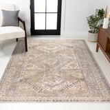 Darija Ornate Geometric Medallion Area Rug
