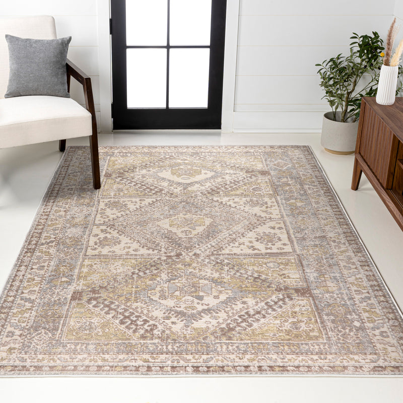Darija Ornate Geometric Medallion Area Rug