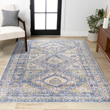 Darija Ornate Geometric Medallion Area Rug