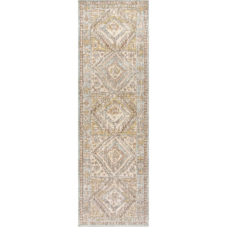 Darija Ornate Geometric Medallion Area Rug