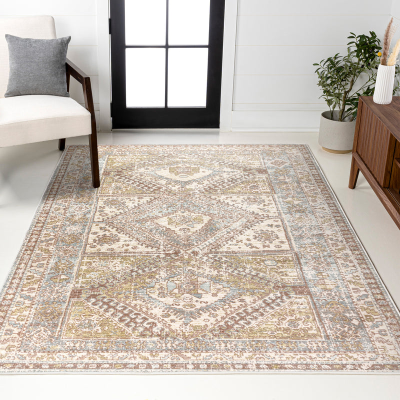 Darija Ornate Geometric Medallion Area Rug