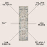 Rosalia Cottage Medallion Area Rug