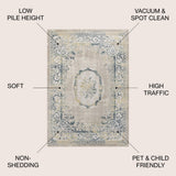 Rosalia Cottage Medallion Area Rug