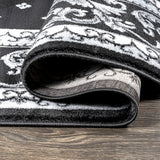 Acanthus French Border Area Rug