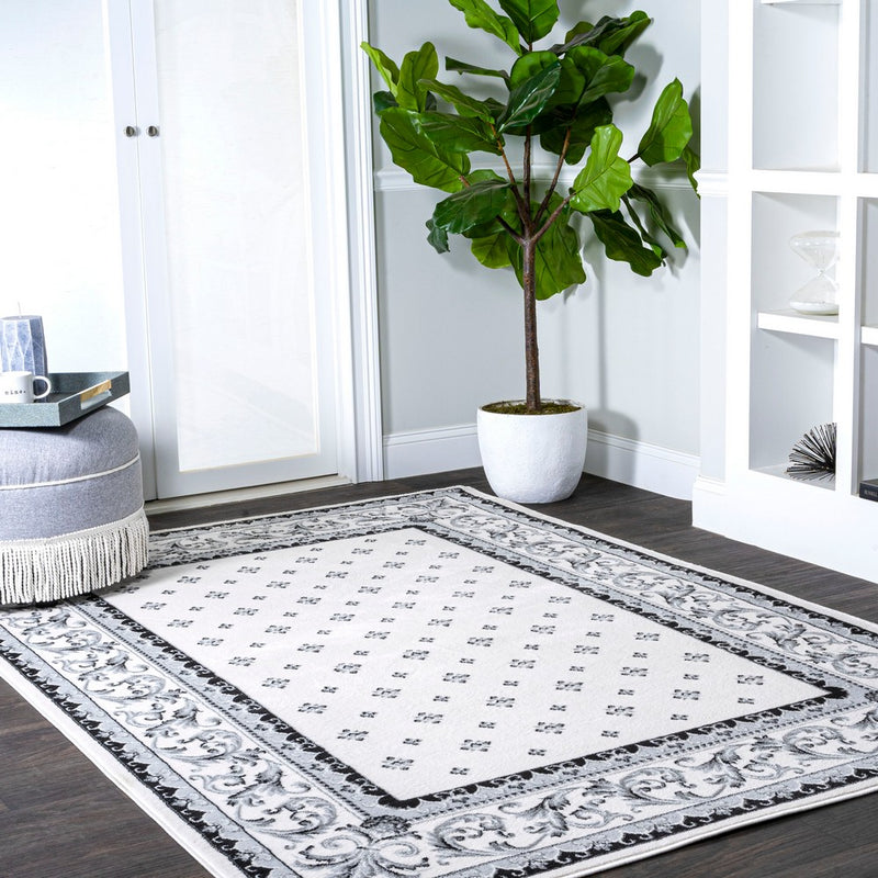 Acanthus French Border Area Rug