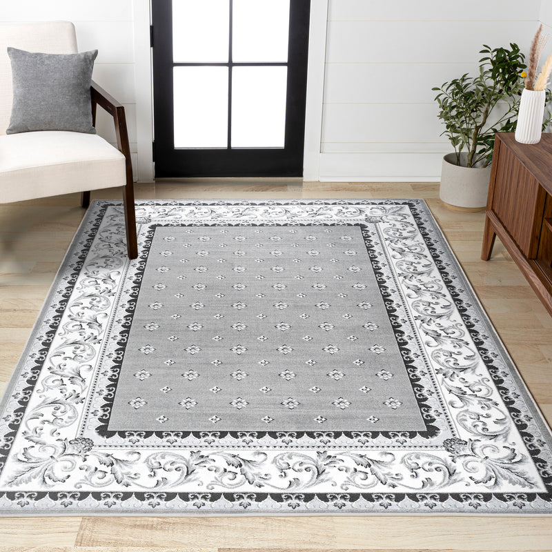 Acanthus French Border Area Rug