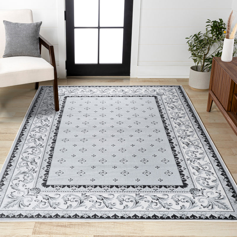 Acanthus French Border Area Rug