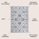 Cherie French Cottage Area Rug