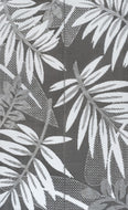 Gray/White