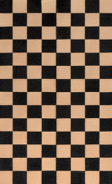 Bishop Geometric Checker Foldable Waterproof Reversible Plastic Straw Area Rug