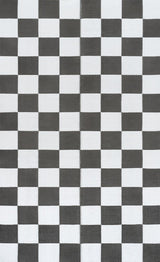 Bishop Geometric Checker Foldable Waterproof Reversible Plastic Straw Area Rug