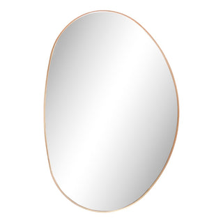 Aurelia 24 in. W x 36 in. H Medium Irregular Oval Metal Framed Wall Mounted Mirror