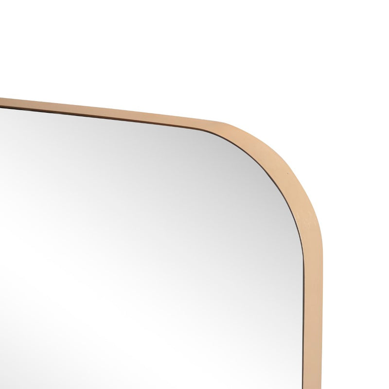 Aleria 24 in. W x 36 in. H Medium Rounded Rectangular Metal Framed Wall Mounted Mirror