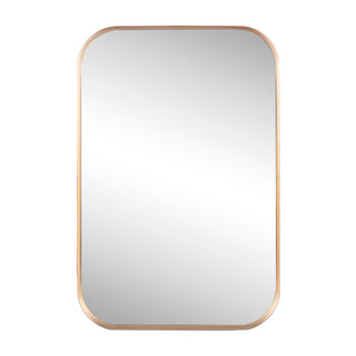 Aleria 24 in. W x 36 in. H Medium Rounded Rectangular Metal Framed Wall Mounted Mirror