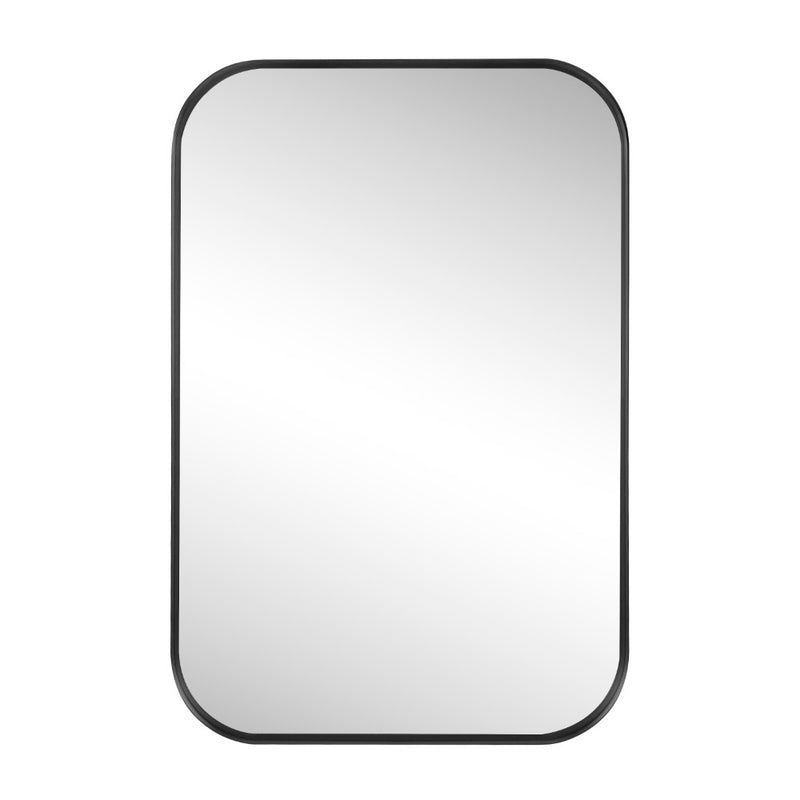 Aleria 24 in. W x 36 in. H Medium Rounded Rectangular Metal Framed Wall Mounted Mirror