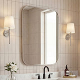 Aleria 24 in. W x 36 in. H Medium Rounded Rectangular Metal Framed Wall Mounted Mirror