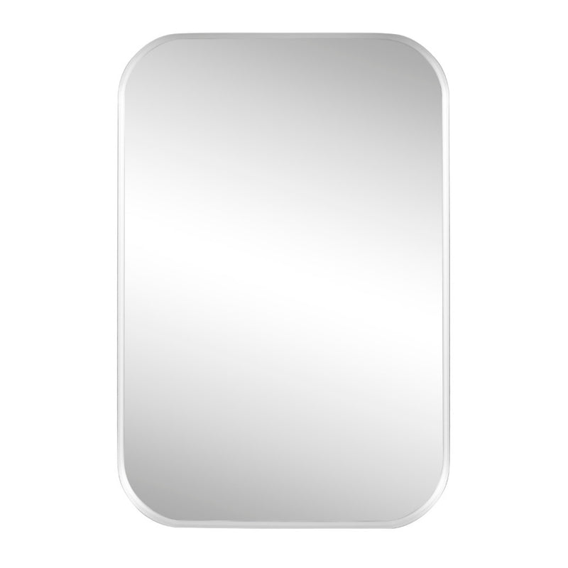 Aleria 24 in. W x 36 in. H Medium Rounded Rectangular Metal Framed Wall Mounted Mirror