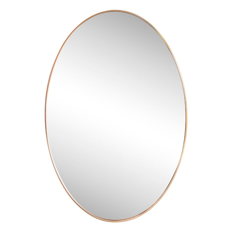 Ellipse 24 in. W x 36 in. H Medium Oval Aluminum Alloy Framed Wall Mounted Mirror