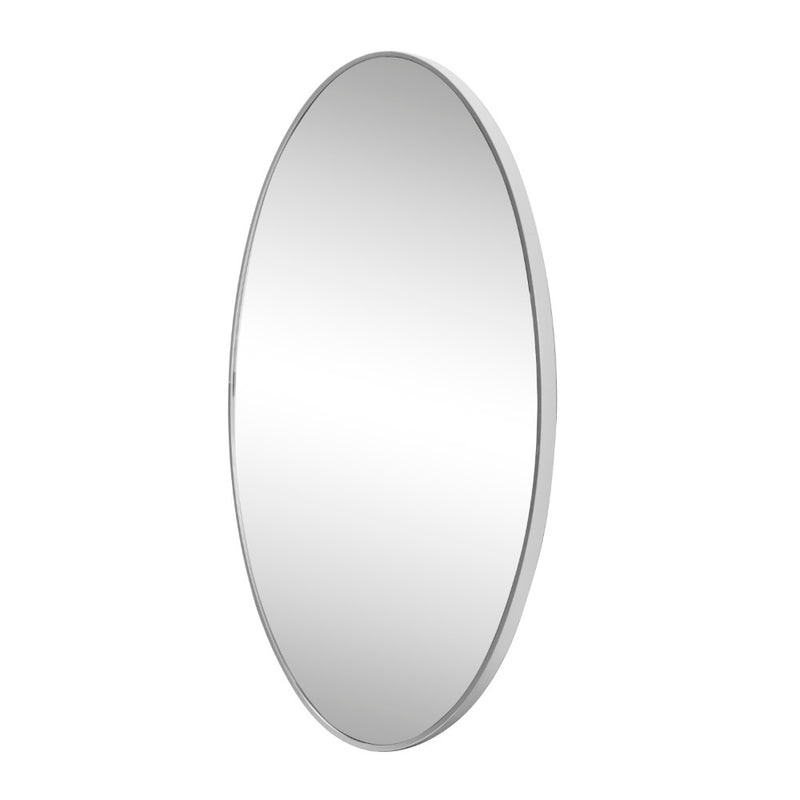 Ellipse 24 in. W x 36 in. H Medium Oval Aluminum Alloy Framed Wall Mounted Mirror