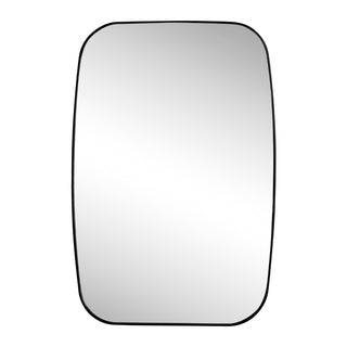 Cassian 24 in. W x 36 in. H Medium Capsule Oblong Oval Aluminum Alloy Framed Wall Mounted Mirror