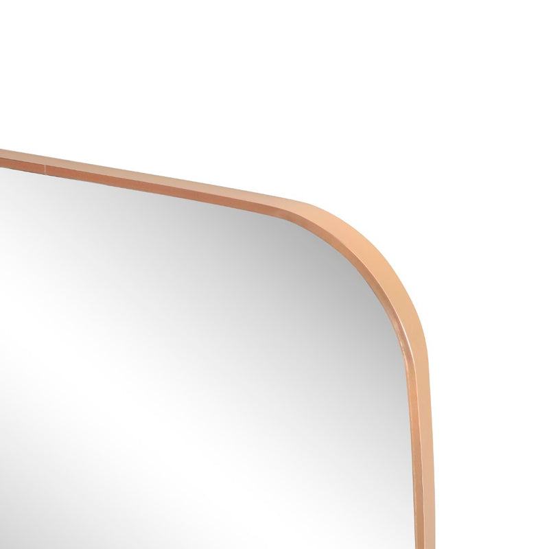 Cassian 24 in. W x 36 in. H Medium Capsule Oblong Oval Aluminum Alloy Framed Wall Mounted Mirror