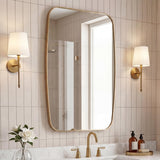 Cassian 24 in. W x 36 in. H Medium Capsule Oblong Oval Aluminum Alloy Framed Wall Mounted Mirror