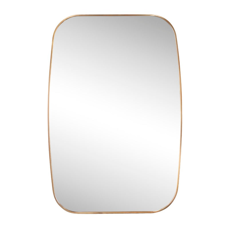 Cassian 24 in. W x 36 in. H Medium Capsule Oblong Oval Aluminum Alloy Framed Wall Mounted Mirror