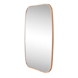 Cassian 24 in. W x 36 in. H Medium Capsule Oblong Oval Aluminum Alloy Framed Wall Mounted Mirror