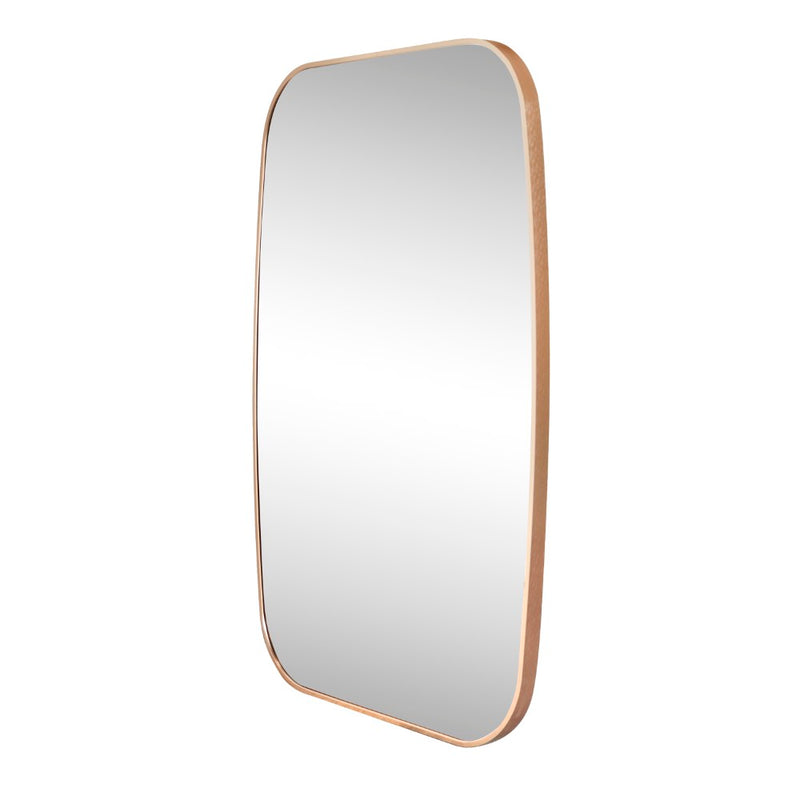 Cassian 24 in. W x 36 in. H Medium Capsule Oblong Oval Aluminum Alloy Framed Wall Mounted Mirror