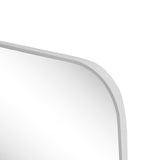 Cassian 24 in. W x 36 in. H Medium Capsule Oblong Oval Aluminum Alloy Framed Wall Mounted Mirror