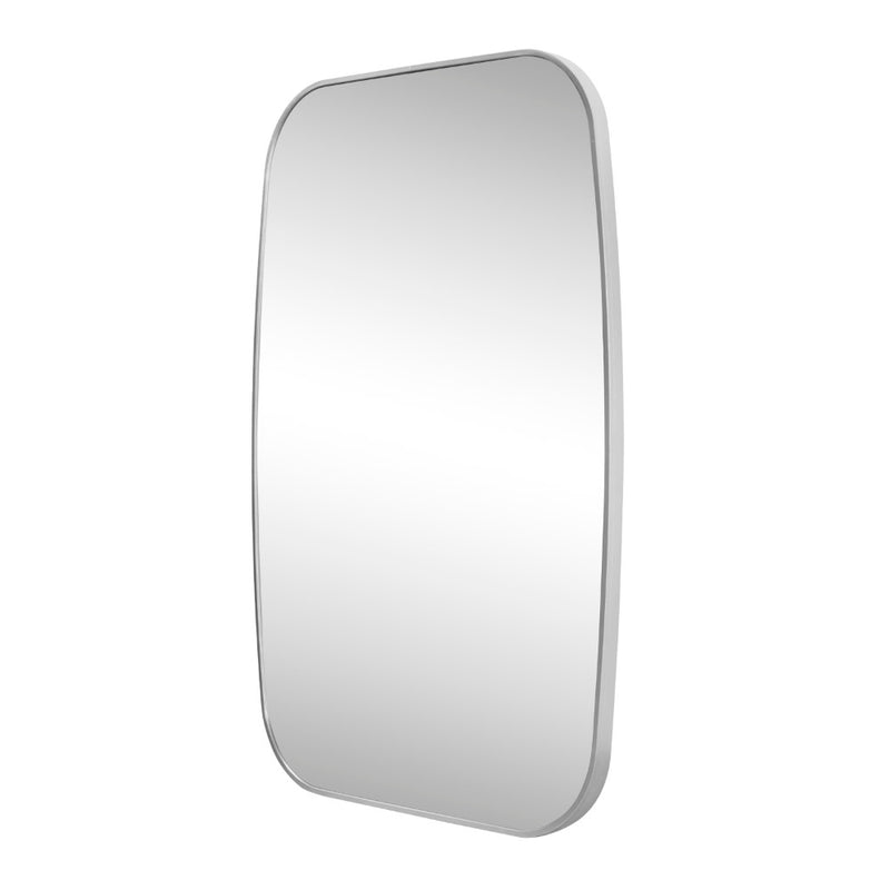 Cassian 24 in. W x 36 in. H Medium Capsule Oblong Oval Aluminum Alloy Framed Wall Mounted Mirror