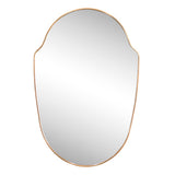Guardian 24 in. W x 36 in. H Medium Shield Aluminum Alloy Framed Wall Mounted Mirror
