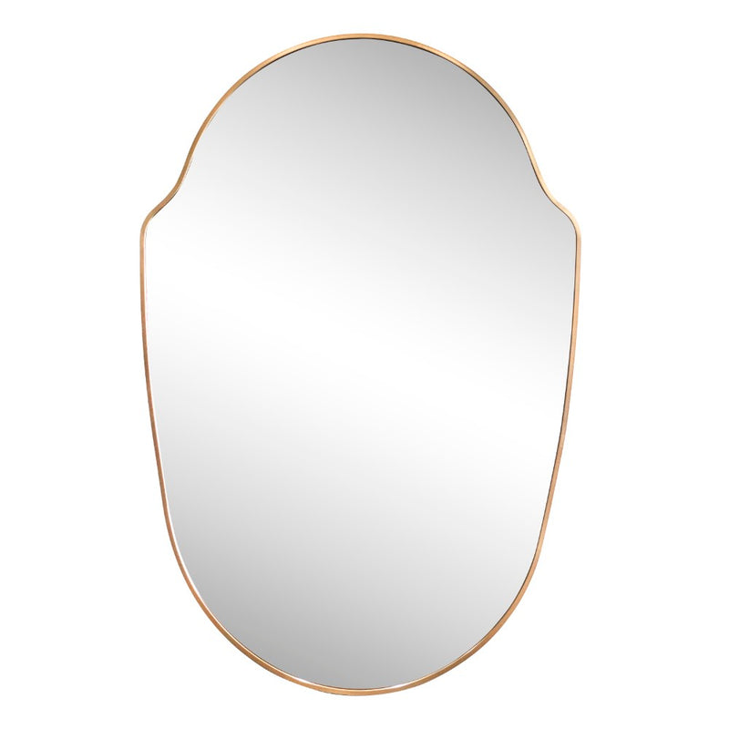 Guardian 24 in. W x 36 in. H Medium Shield Aluminum Alloy Framed Wall Mounted Mirror