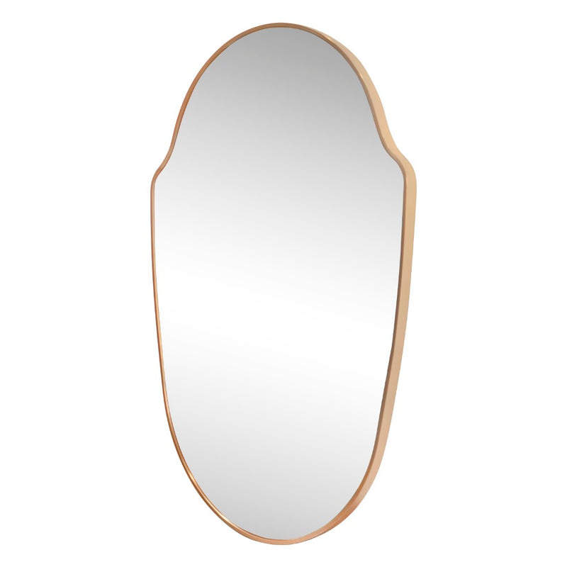 Guardian 24 in. W x 36 in. H Medium Shield Aluminum Alloy Framed Wall Mounted Mirror
