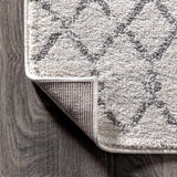 Moroccan Hype Boho Vintage Diamond Area Rug