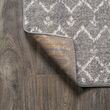 Moroccan Hype Boho Vintage Diamond Area Rug Gray/Ivory