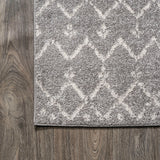 Moroccan Hype Boho Vintage Diamond Area Rug Gray/Ivory
