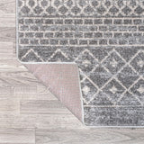 Arta Moroccan Vintage Geometric Rug Area Rug
