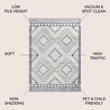 Amir Moroccan Beni Souk Area Rug