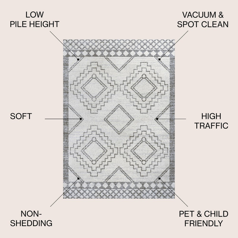 Amir Moroccan Beni Souk Area Rug