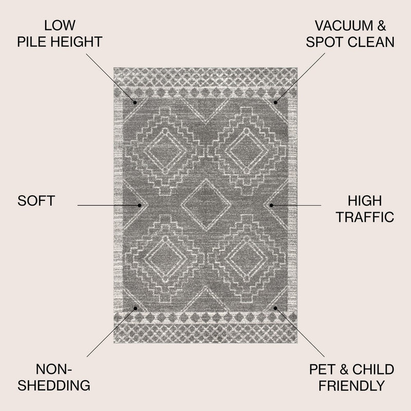 Amir Moroccan Beni Souk Area Rug