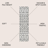 Aksil Moroccan Beni Souk Area Rug