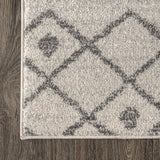 Aksil Moroccan Beni Souk Area Rug