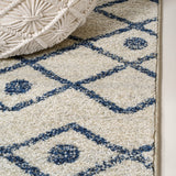 Aksil Moroccan Beni Souk Area Rug