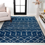 Aksil Moroccan Beni Souk Area Rug