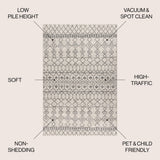 Izil Moroccan Beni Souk Area Rug