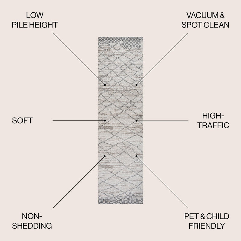 Asilah Moroccan Modern Diamond Area Rug