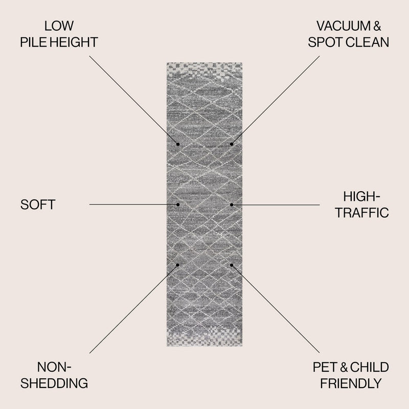 Asilah Moroccan Modern Diamond Area Rug