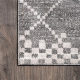 Asilah Moroccan Modern Diamond Area Rug